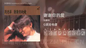 谢谢你的爱 刘德华 吉他谱G调简单版