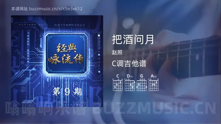把酒问月吉他谱C调 赵照 简单版