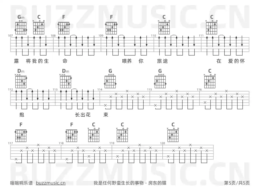 吉他谱第5页